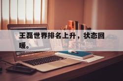 算法研究-王磊世界排名上升，状态回暖。