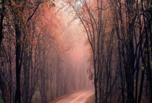 华体会app入口-内马尔迎来三赛季出色发挥，曼联观众热烈欢呼！